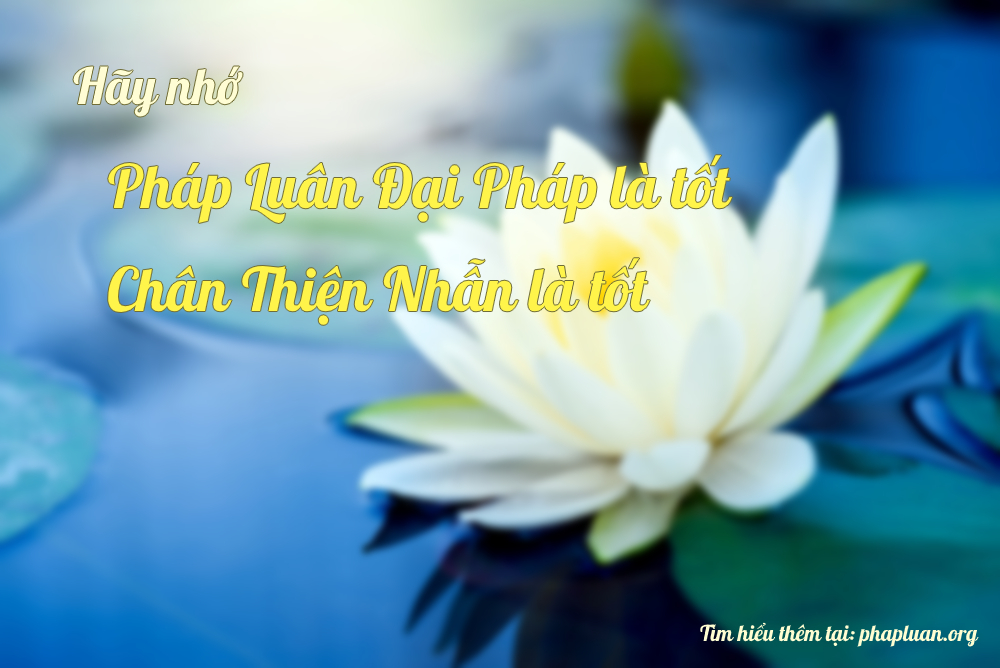 Chân Thiện Nhẫn